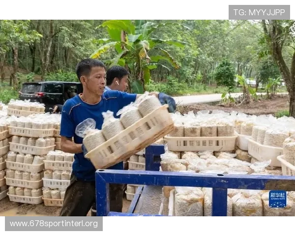 沙巴体育积极响应国家体育政策，助力全民健身运动深入推进